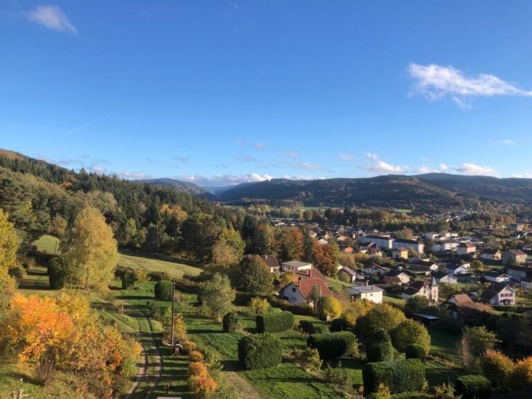 afbeelding van whatsapp op 2023 11 08 om 18.44.16 c8422d05